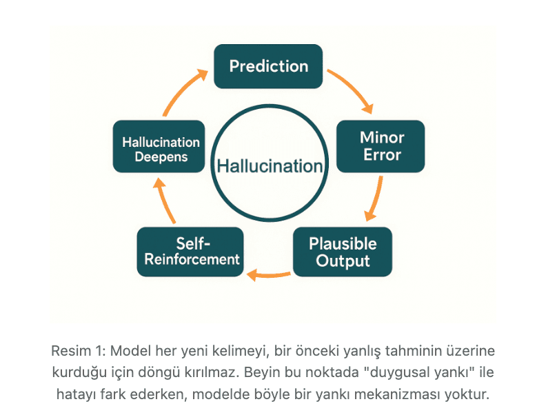 Evet 3.2 Halüsinasyonun Döngüsü